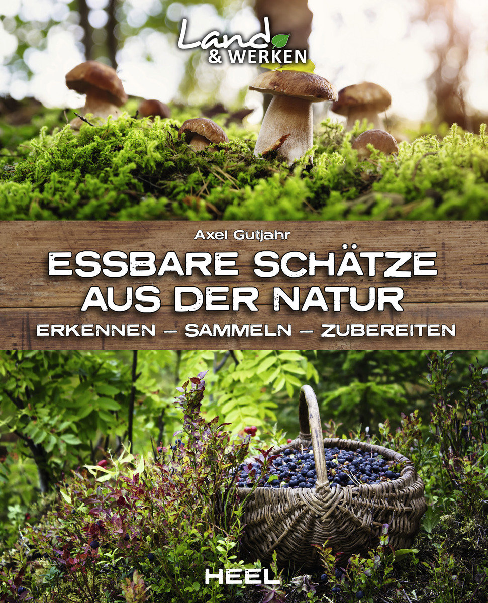 Essbare Schätze aus der Natur: Erkennen - Sammeln - Zubereiten