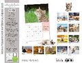 Mein Literarischer Katzenkalender 2025 Wandkalender