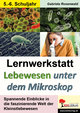 Lernwerkstatt Lebewesen unter dem Mikroskop / Klasse 5-6