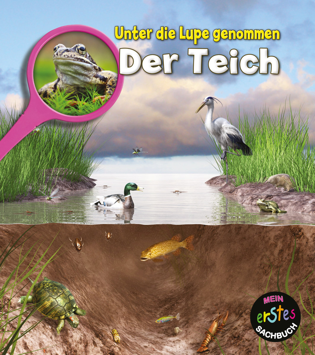 Der Teich