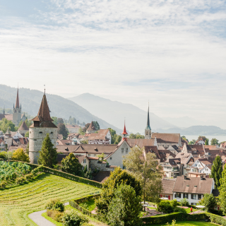 Zug Region Button