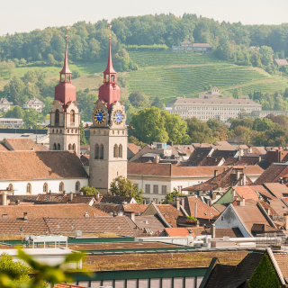 Winterthur Region Button